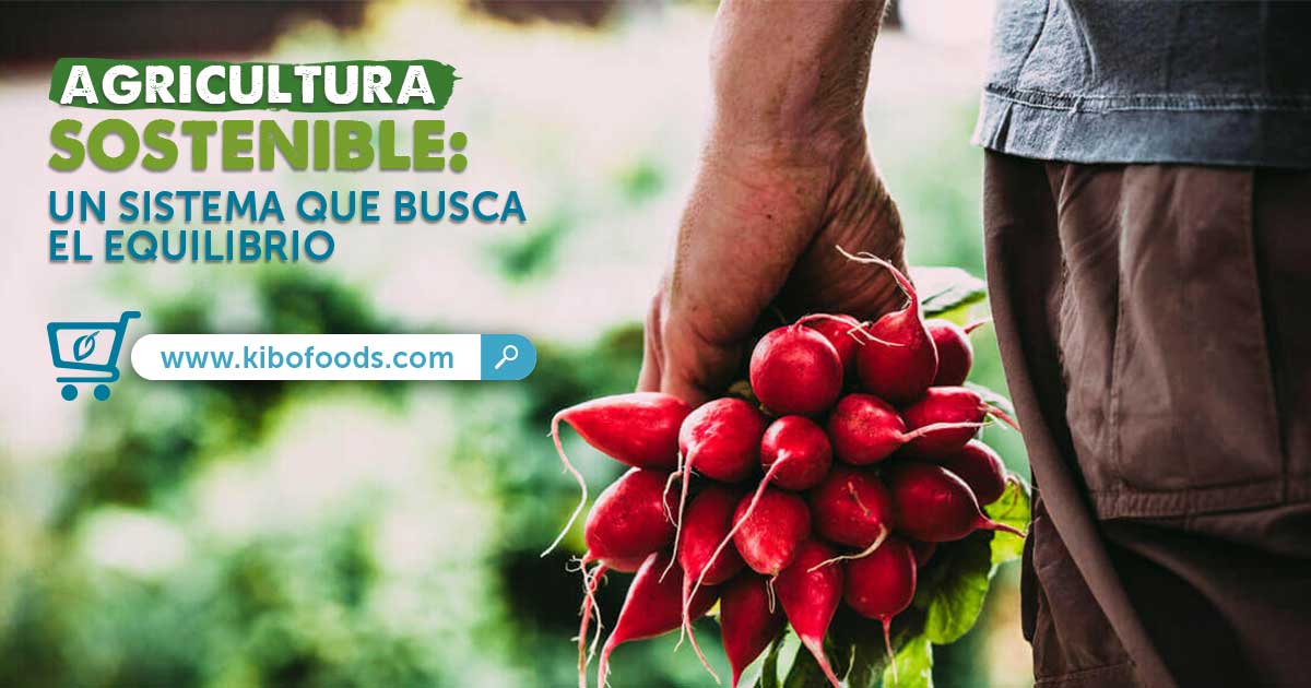 Agricultura Sostenible Para La Seguridad Alimentaria