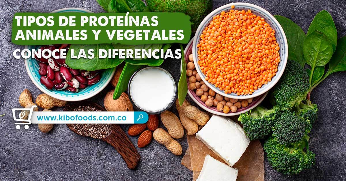 🥩🥦Tipos De Proteínas Vegetal Vs Animal - Kibo🍤🥚